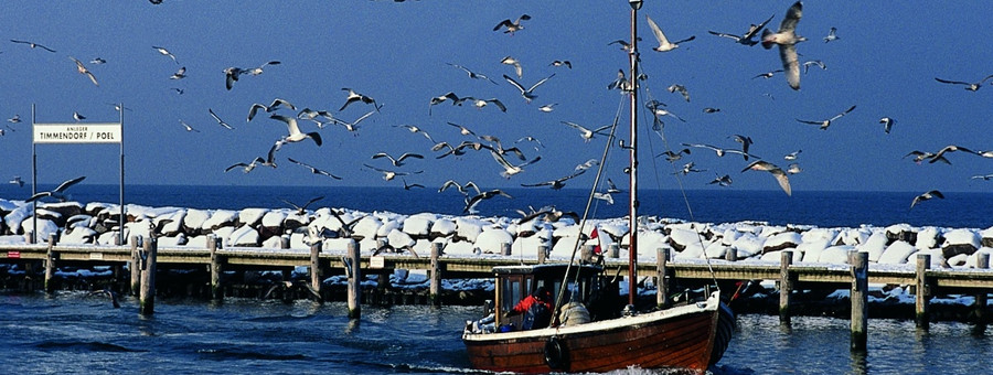 Ferienhäuser Liethmann - auf der Insel Poel, Timmendorf Strand